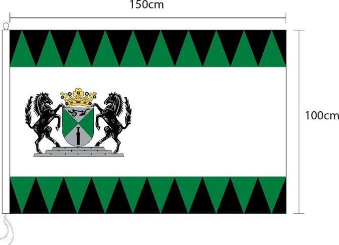 Vlag van Emmen 100 x 150cm