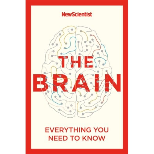 The Brain - New Scientist