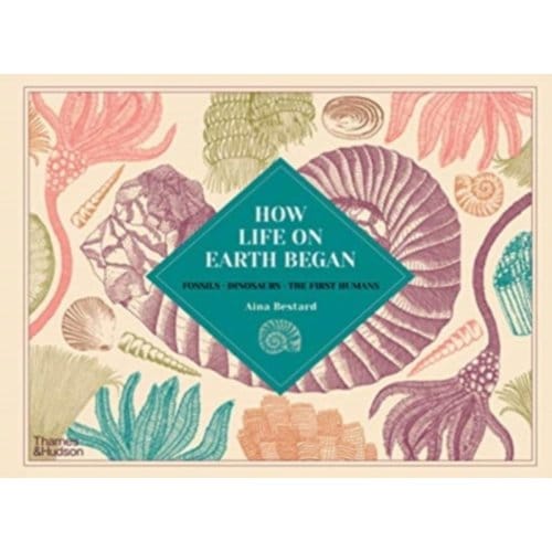 How Life On Earth Began - Aina Bestard
