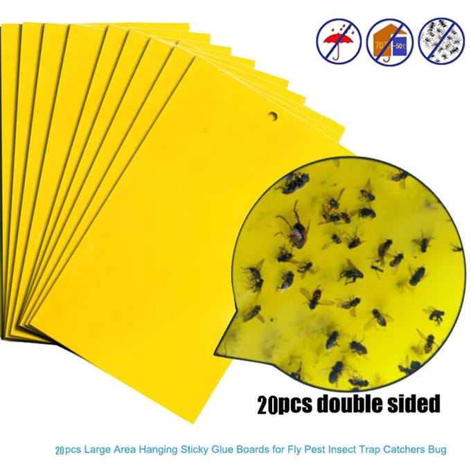 20 stuks Sterke Vliegenvallen Bugs Kleverig Bord Vangen Bladluis Insecten Ongediertemoordenaar 20pcs white