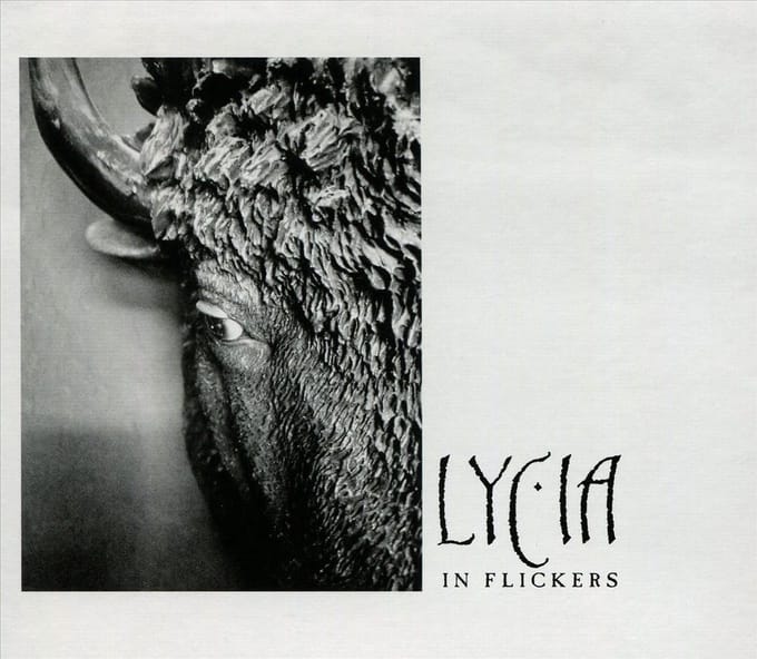 In Flickers - Lycia