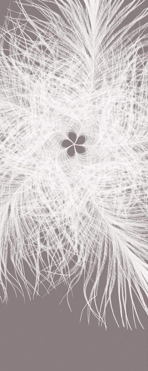 Fotobehang - Federkern 100x250cm - Papierbehang