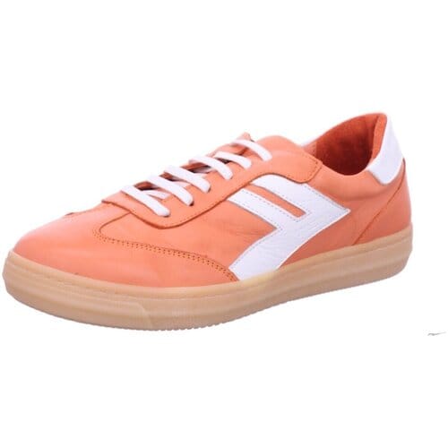 Lage Sneakers Andrea Conti -