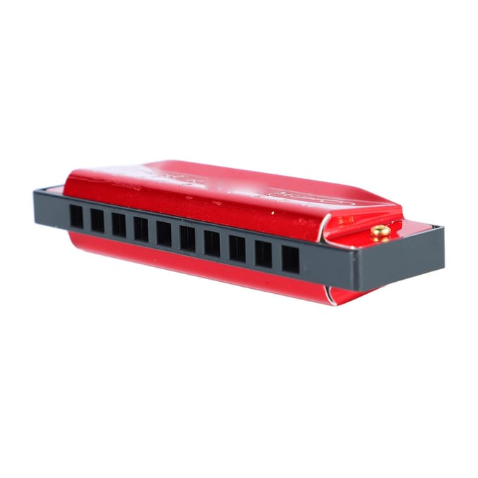 Harmonica 10 Gaten 20 Tonen C Toets Professioneel Standaard Mondharmonica met Koffer voor Kind Beginner Rood black