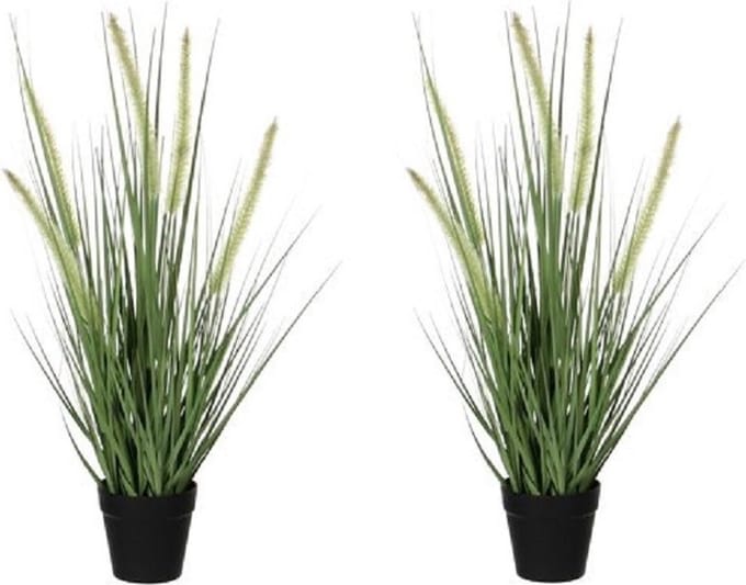 Mica Decorations Kunstplant Siergras - 2x - dogtail - D30 x H53 cm - in zwarte pot