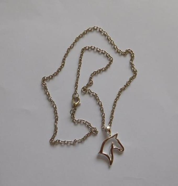 Ketting met hanger Paardenhoofd.