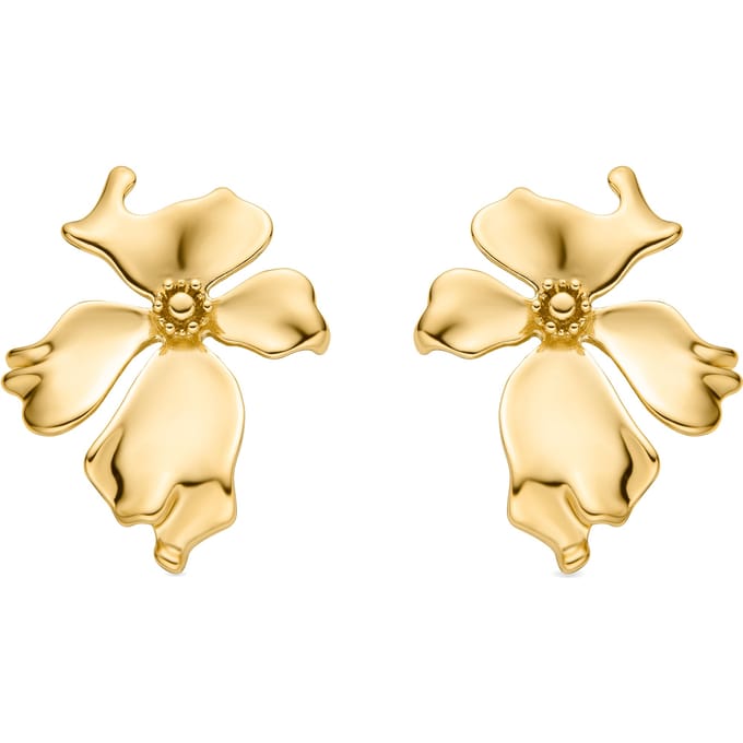 Boucles d'oreilles - LUXENTER - Haiqua - Plaqué or 18k - XL - Jaune beige