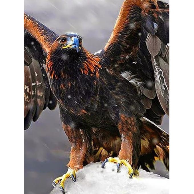 Peinture diamant thème  aigle coucher de soleil , broderie 5D à faire soi-même, point de croix, décoration d'intérieur, à faire soi-même 20X30CM gray
