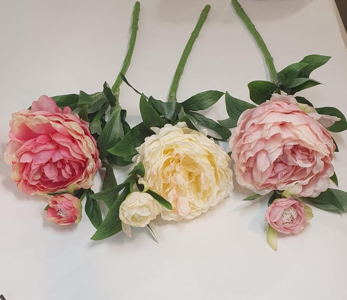 Pioenroos 60cm (1 stuk) assorti