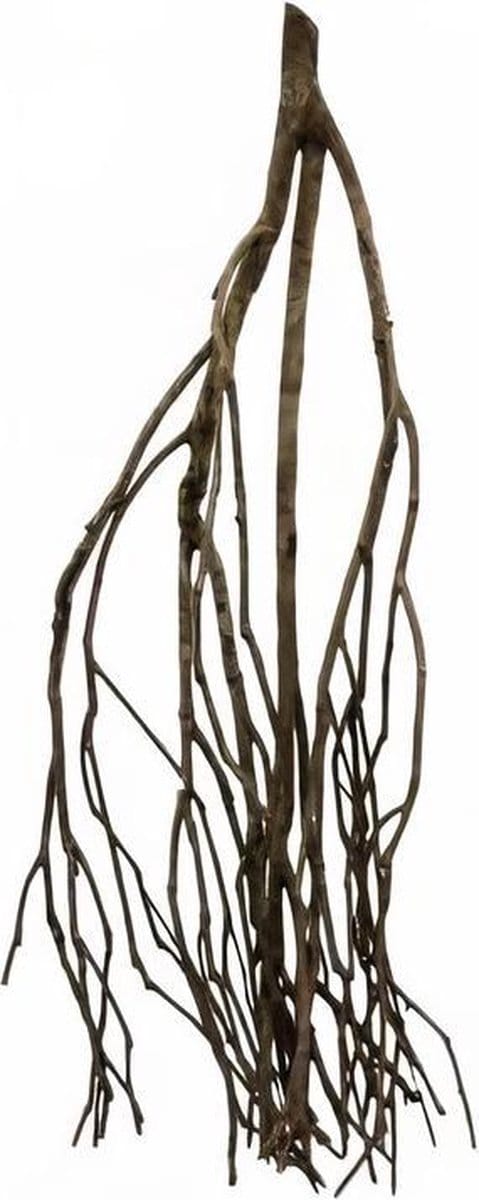 talawahout 30 cm bruin