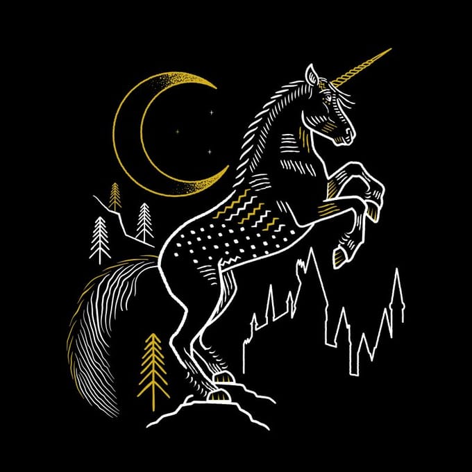 Harry Potter Unicorn t-shirt - Zwart - S
