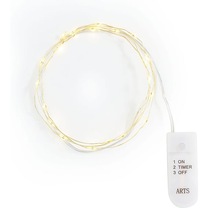 Micro LED snoer lampjes, met timer, goudkleurige draad, 20 LED's