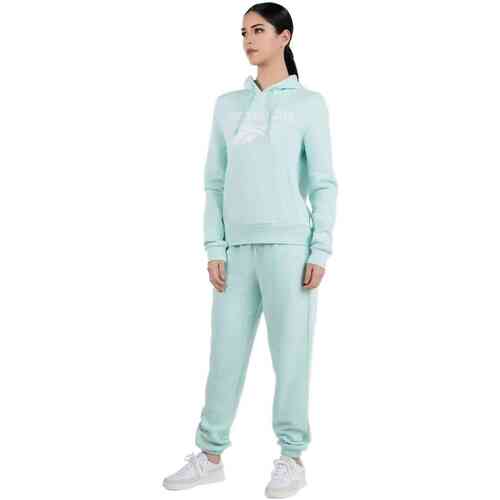 Capuchon sweaters Reebok Sport 100215201
