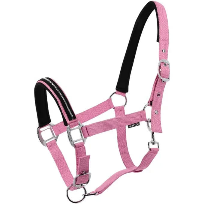 Halster voor paarden Norton Crystal