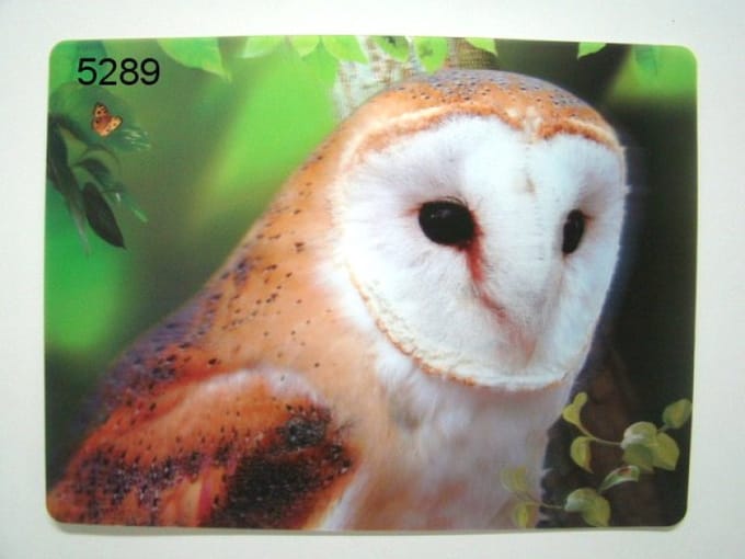 3D Placemat - Kerkuil - 29,5 x 39,5 cm - Diepte Effect - Tafelmat