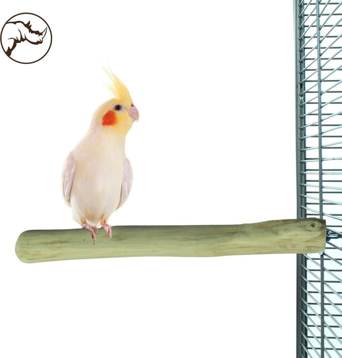 Java Perch Zitstok BACK ZOO NATURE - Natuurlijke Zitstok van Java Hout - 30x3-4 cm, Uniek en Bevestigbaar