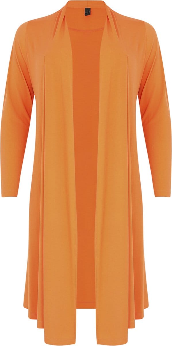 YOEK Dames Vest met lange mouwen