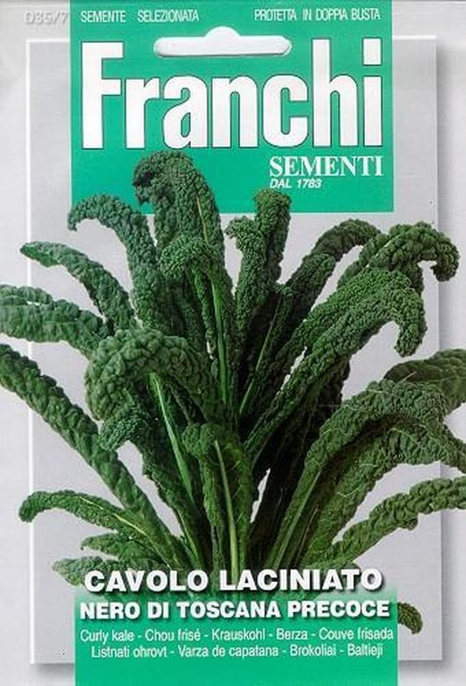 Franchi - Cavolo Laciniato Nero Di Toscana - Bladkool 35/7