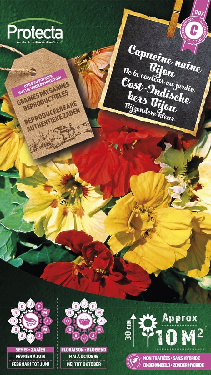 Protecta Bloemen zaden: Oost-Indische kers Bijou Gemengd | Kapucijnbloem