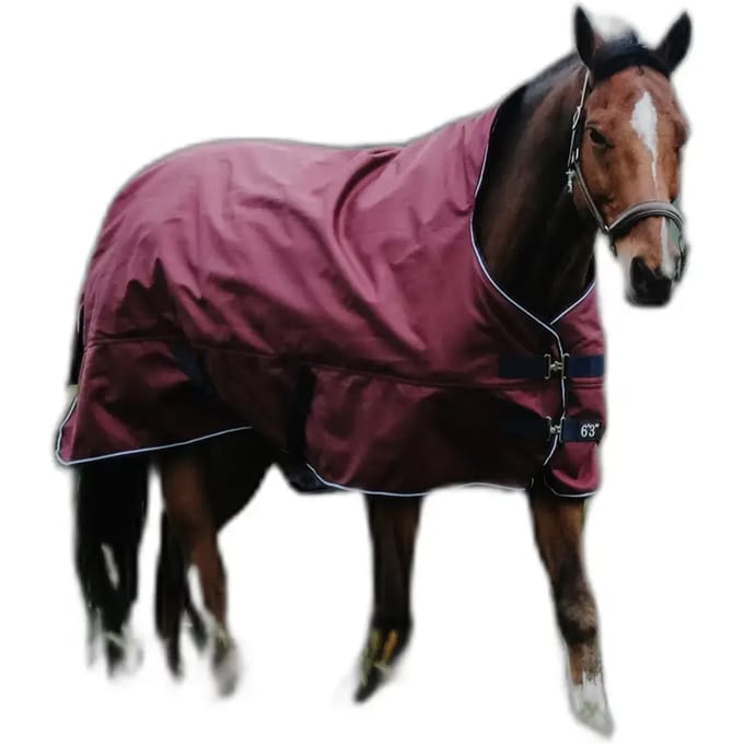 Outdoor paardendeken Equithème Tyrex 1200D 0g High Neck