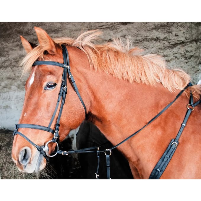 T.de.t Biotack® Hoofdstellen Zwart Cob