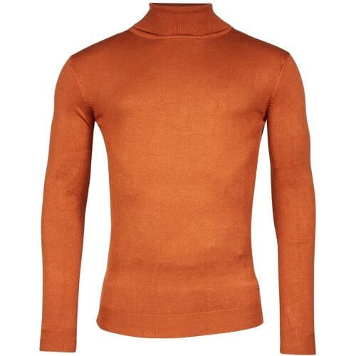 Baileys Trui Rollneck Single Knit Donker Goud / male