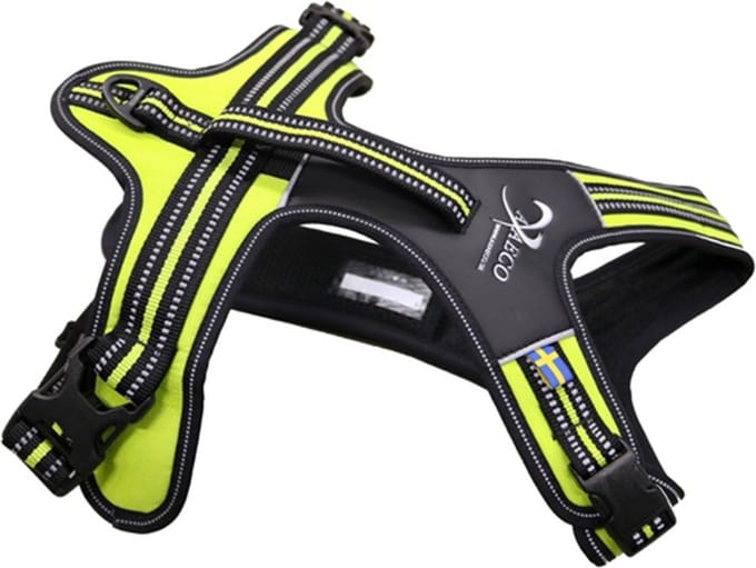 Axaeco 4 Season Power Harness Maat S 48-63cm