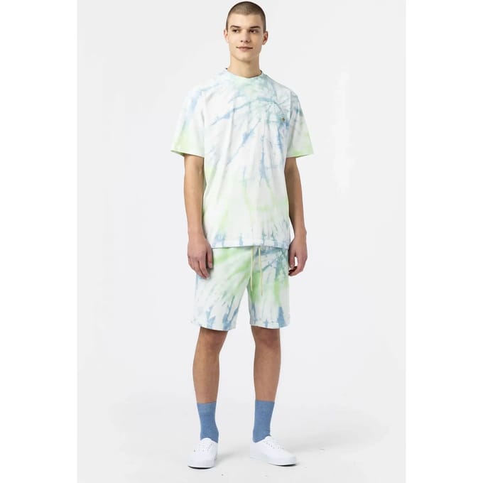 T-shirt met korte mouwen Dickies Seatac