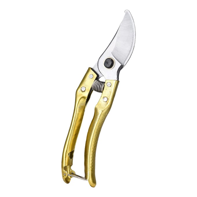 Snoeischaar met stalen blad en ergonomische handgrepen Tuinieren Snoeischaar Bonsai goud