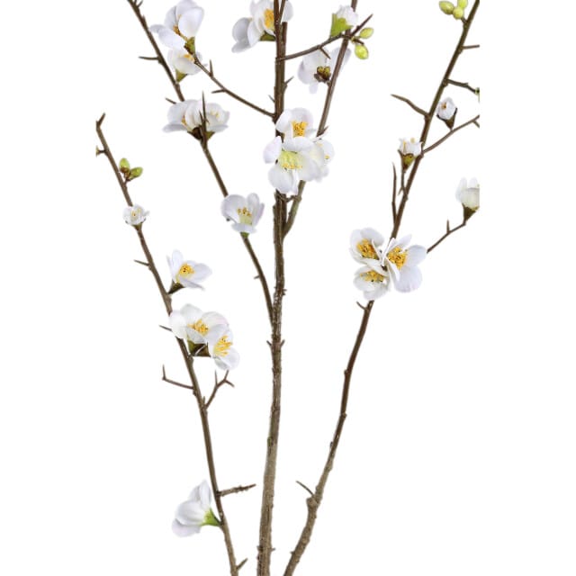 PTMD - Kunstbloem Blossom - Wit - 66x54x121cm