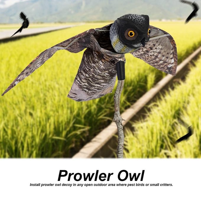 Prowler Uil met Bewegende Vleugel Tuinvogelverschrikker Roofdier Lokvogel Ongedierte gray