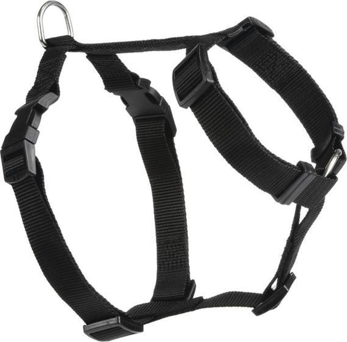 Beeztees Wandel- en Autogordel - Hond - Nylon - Zwart - 40-65 cm