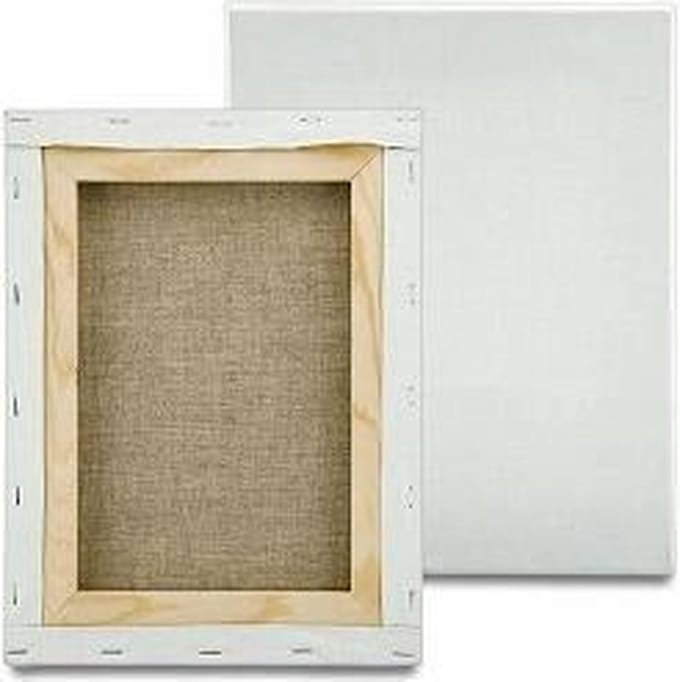 CO Professional Canvas Schildersdoeken 50x50