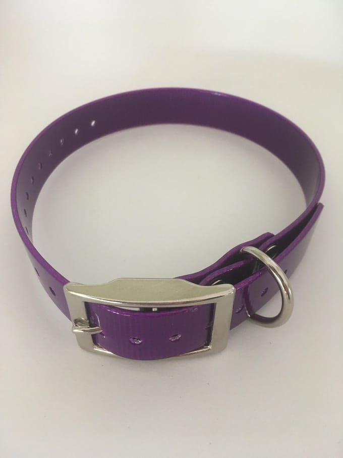 Halsband BioThane GOLD Transparant - PAARS - 600mmX25mm - dubbele gesp