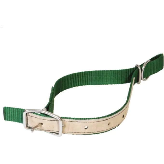 Nylon halsband voor schapen Kamer