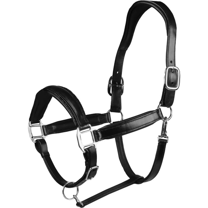 Leren hoofdstel EQPRO Brilliance