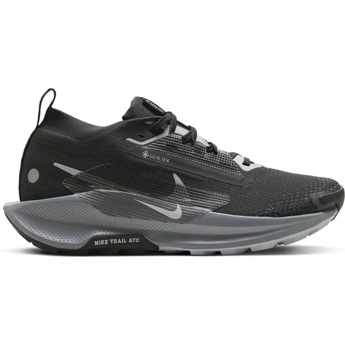 Damesschoenen Nike Pegasus 5 Gore-tex