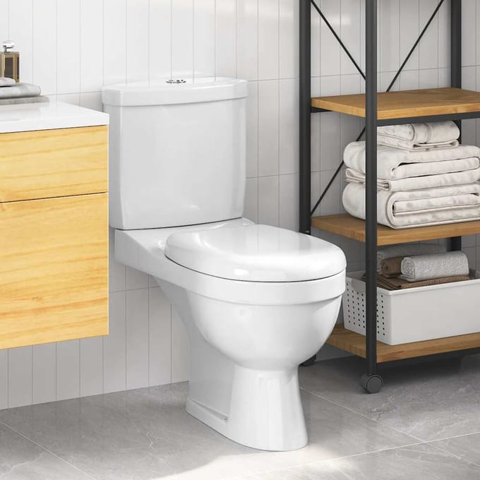 Vidaxl Toilettes avec Chasse d'Eau, Céramique Blanche
