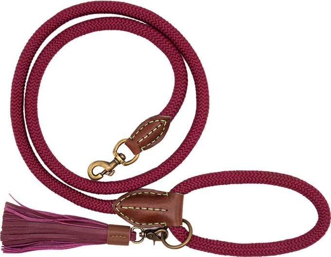 Classic Bonnie Hondenriem S (155 cm X 1 cm)