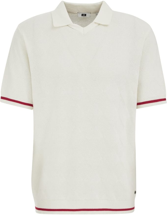WE Fashion Heren regular fit polo met structuur