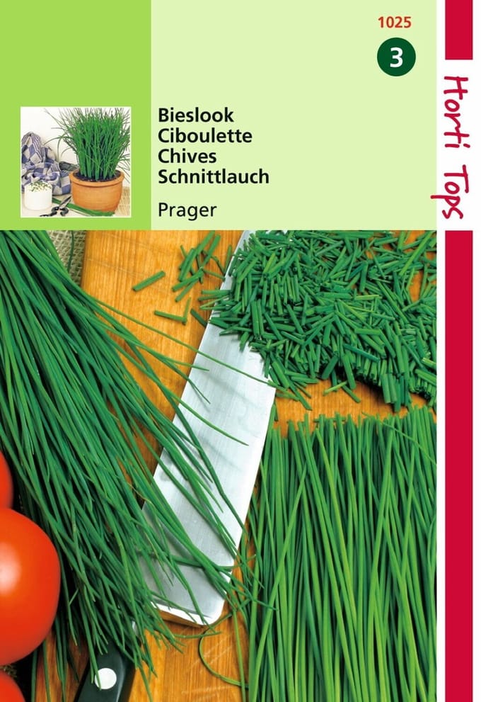 2 stuks - Hortitops - Bieslook Fijne