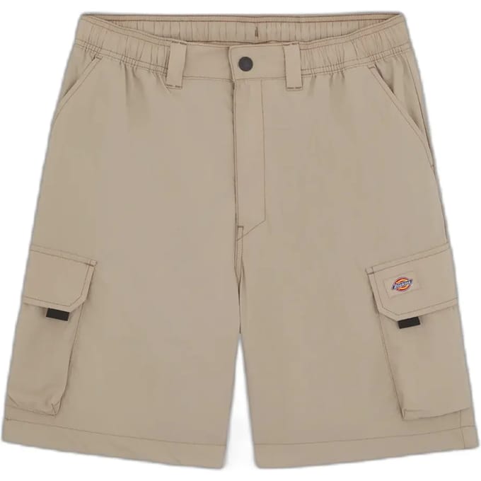 Cargo shorts Dickies Jackson