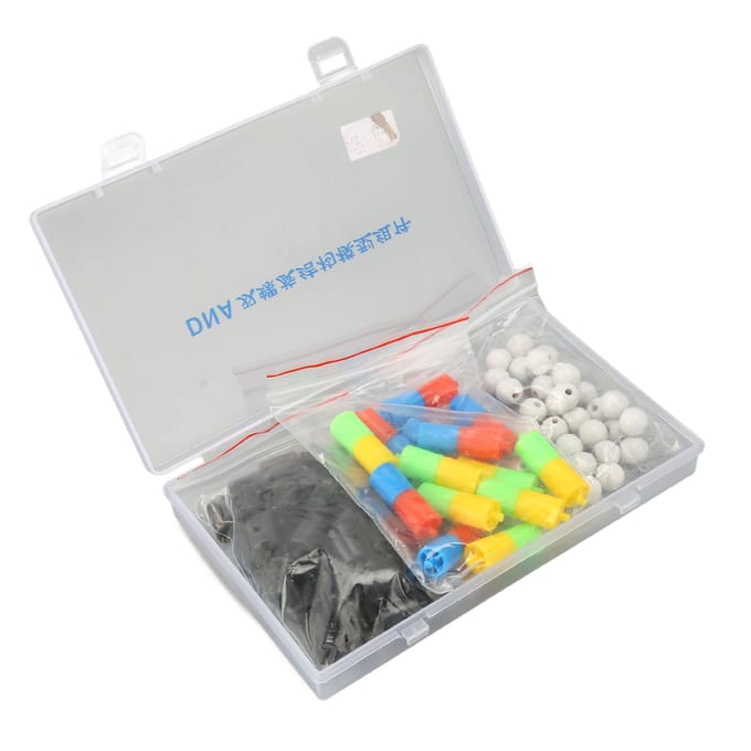 Modèles de Structure d'ADN Double Hélice Kit de Modèles d'ADN Double Hélice Éducatifs Science Biologique white