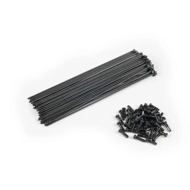 Rayon Eclat PG (x40)