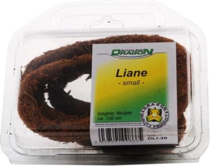 Dragon liaan buigzaam groot