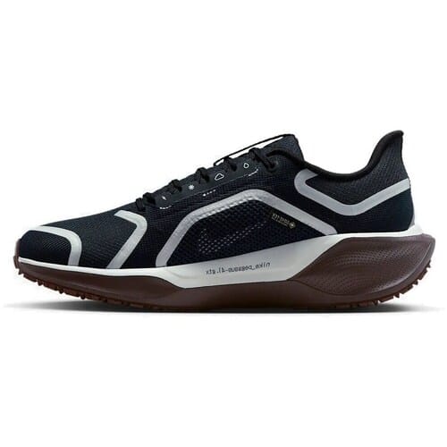 Hardloopschoenen voor dames Nike Pegasus 41 GORE-TEX