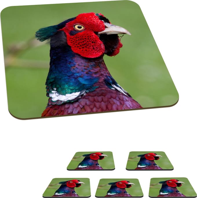Onderzetters voor glazen - Fazant - Dieren - Groen - 10x10 cm - Glasonderzetters - 6 stuks