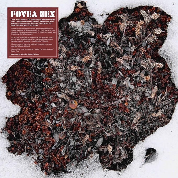 Fovea Hex - The Salt Garden (Landscaped) (CD | LP) (Coloured Vinyl)