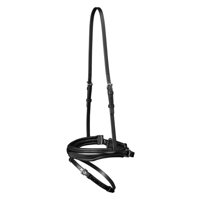 Combiné pull-back neusriem voor paard Waldhausen S-Line