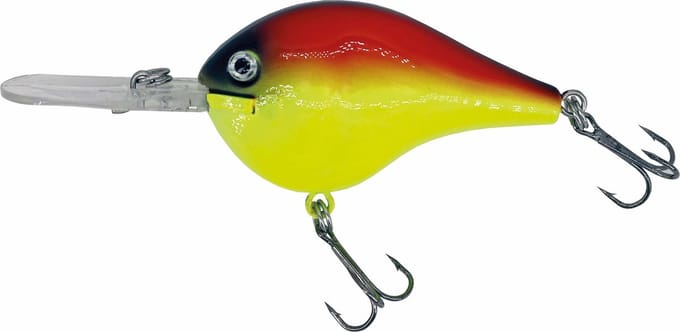 Albatros Catch21 Fat Belly Golden Dawn